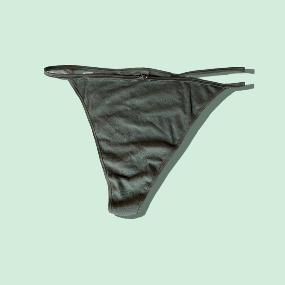 Skims PLUS Mineral Green Cotton Thong Panty Sz 4X